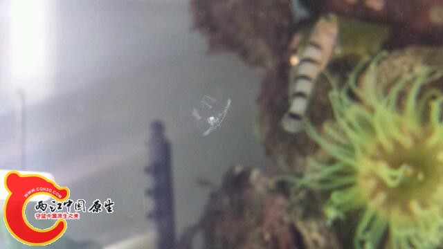 20140810_220529.jpg