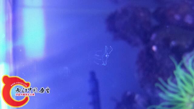 20140810_220449.jpg