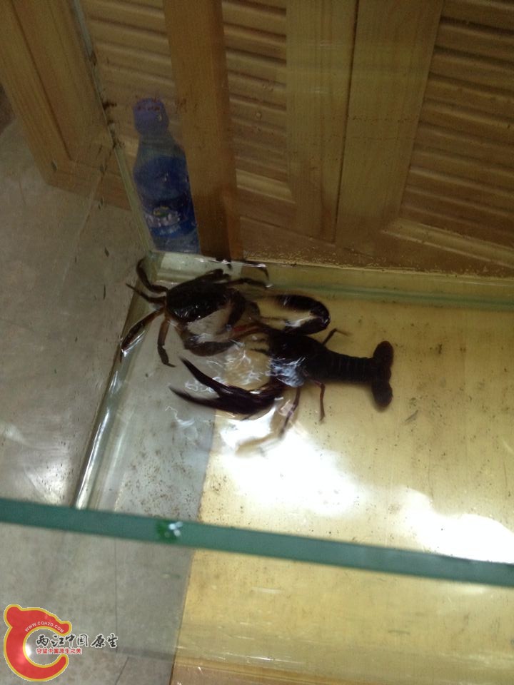 QQ图片20140811101845.jpg