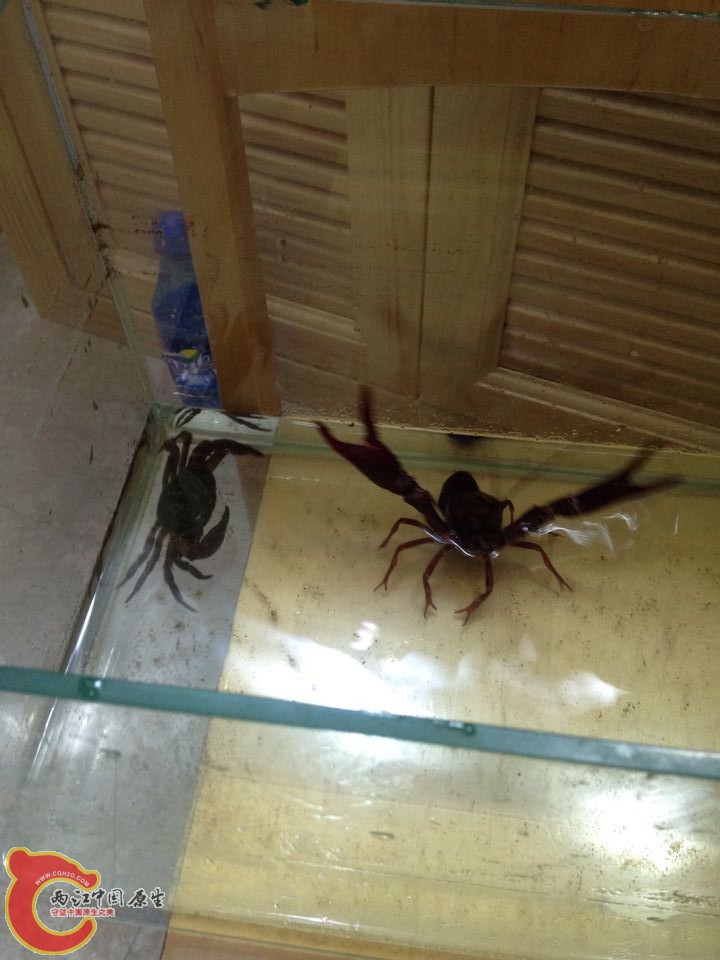 QQ图片20140811101849.jpg