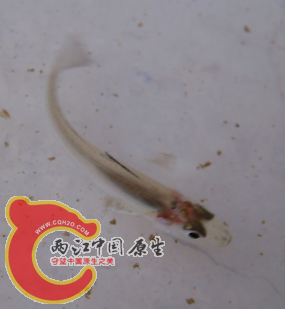 QQ截图20140812194903.png