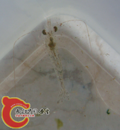 QQ截图20140812195306.png