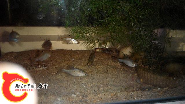 IMG_20140814_215521.jpg