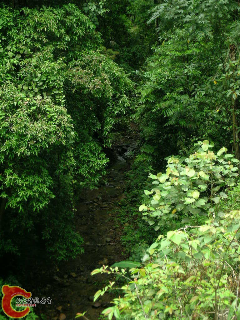 DSCN7590.JPG