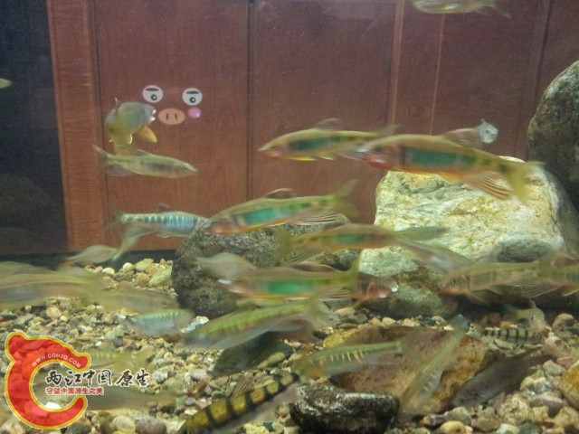 20140815_021056 (640x480).jpg