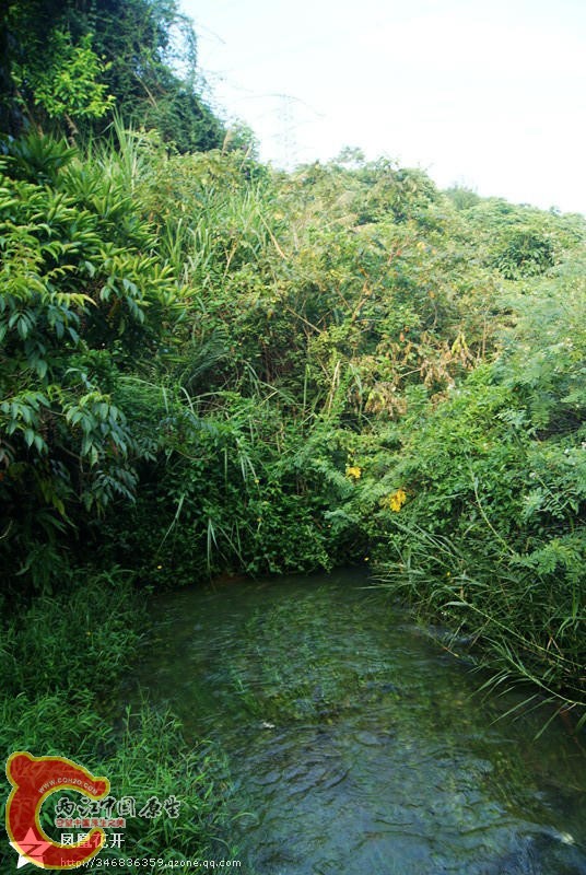 09.jpg