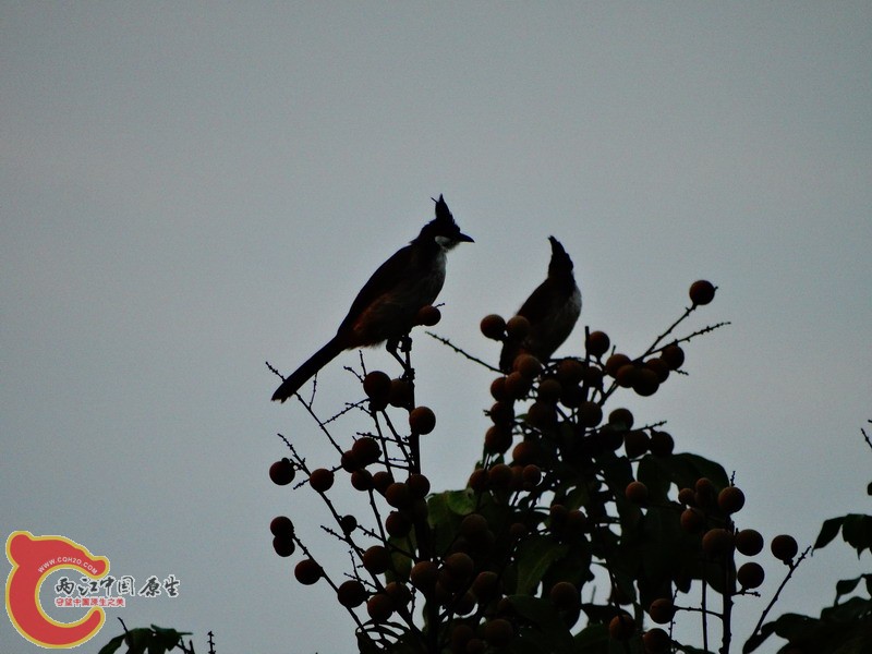 DSC00573.jpg