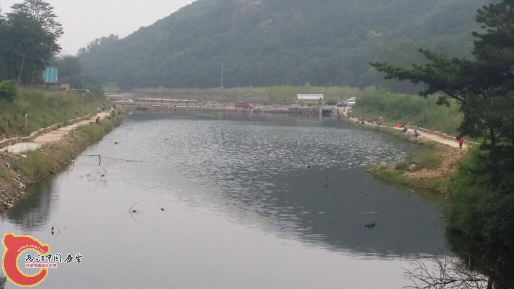 QQ图片20140820154319.jpg