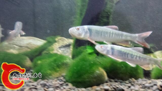 20140819_193659.jpg