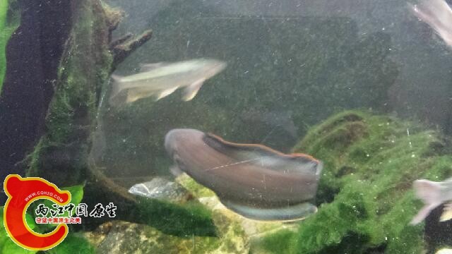 20140819_194216.jpg