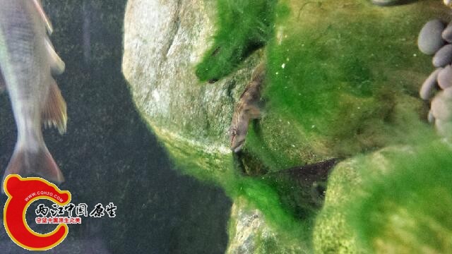 20140819_200041.jpg