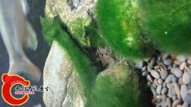 20140819_200208.jpg