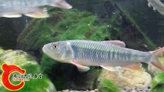 20140819_200551.jpg