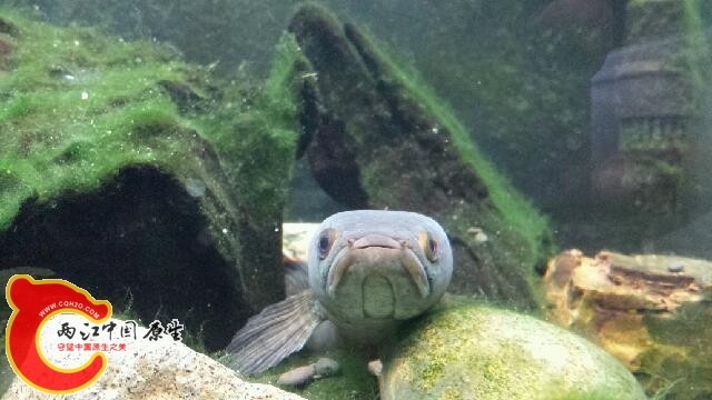 20140819_195909.jpg