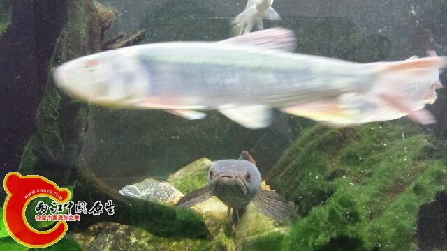 20140819_194213.jpg
