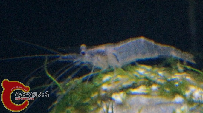 DSC01834.JPG