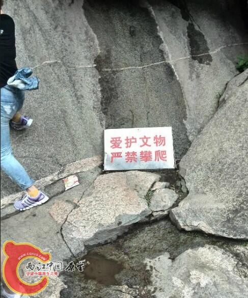 QQ图片20140821194859.jpg