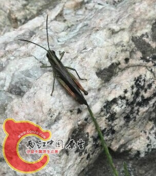 QQ图片20140821194805.jpg