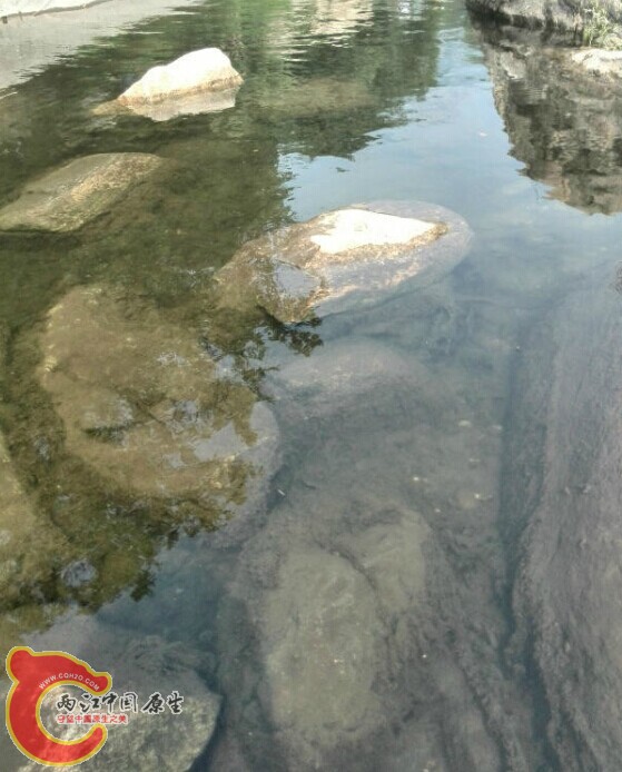 QQ图片20140821194545.jpg