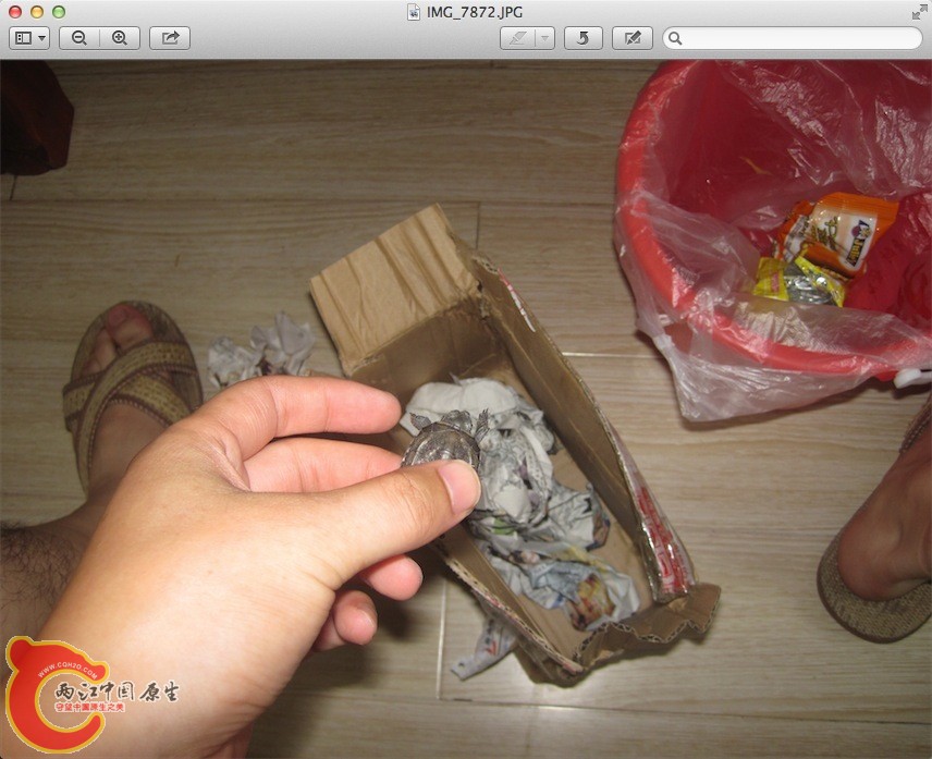 在单位收到后拆开查看过后用透明胶封起，回家后有一只爬了出来～活力