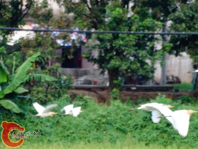 DSC00567.jpg
