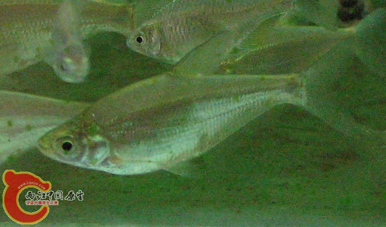 IMG_3683.jpg