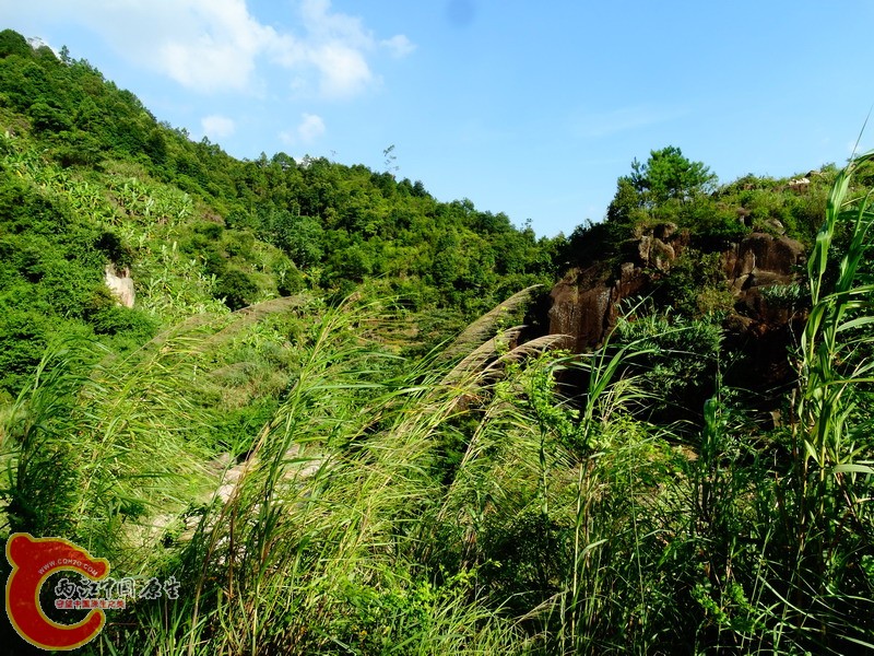 DSC00808.jpg