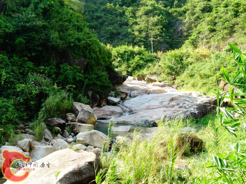 DSC00816.jpg