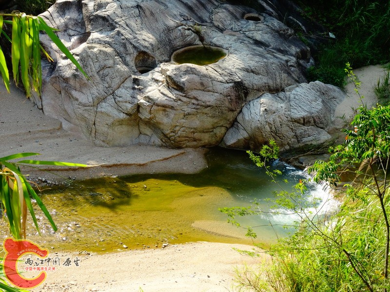 DSC00820.jpg