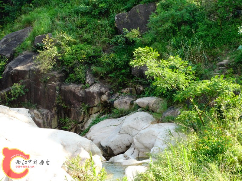 DSC00823.jpg