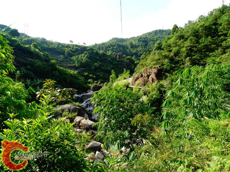 DSC00825.jpg