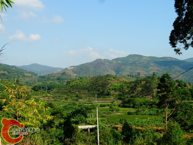 DSC00827.jpg
