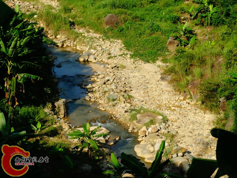 DSC00830.jpg