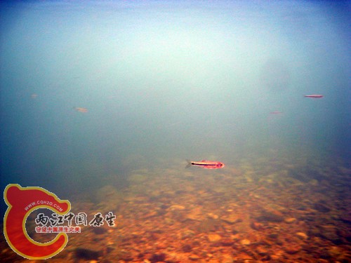 照片 054.jpg