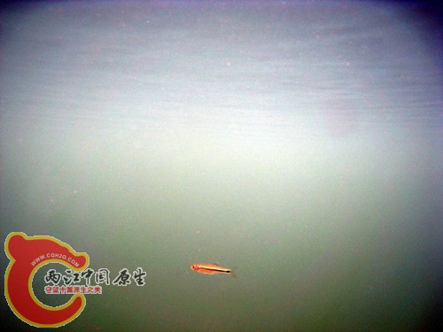 照片 057.jpg