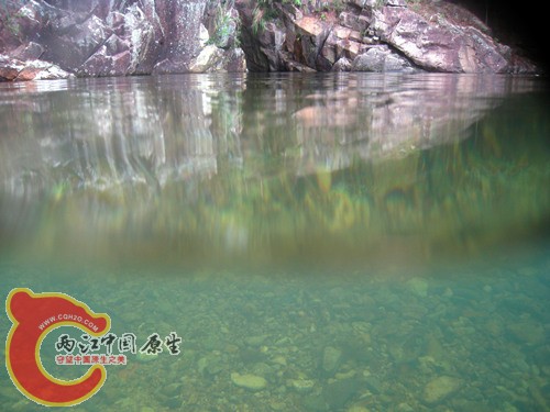 照片 093.jpg