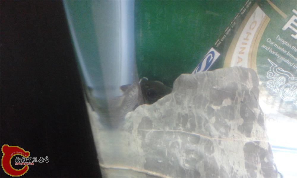 20140830_222421.jpg