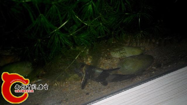 IMG_20140902_110848.jpg