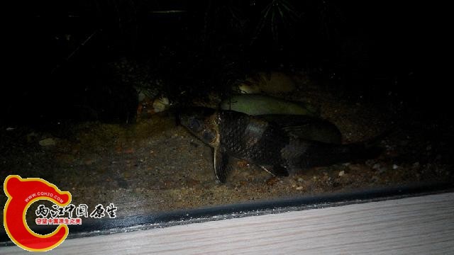IMG_20140902_110828.jpg