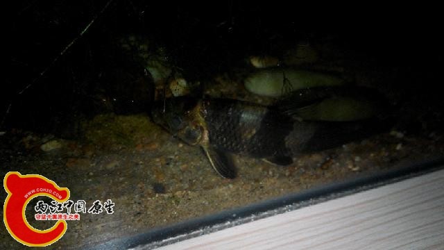 IMG_20140902_110816.jpg