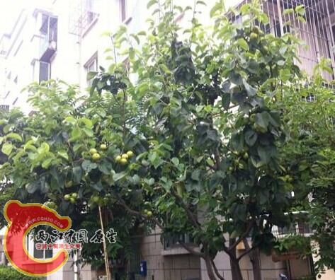 QQ图片20140904100130.jpg