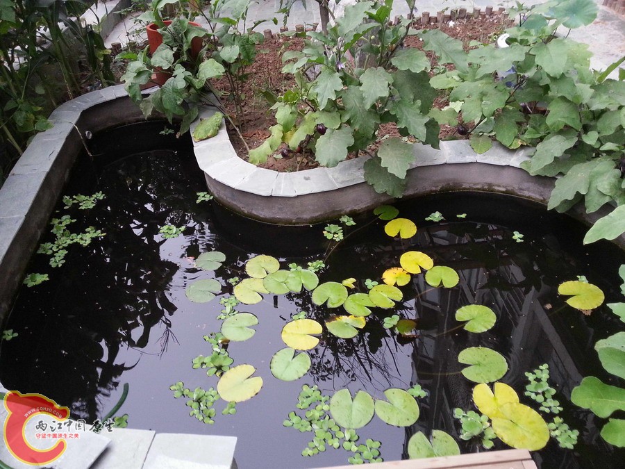 20140717_184140.jpg