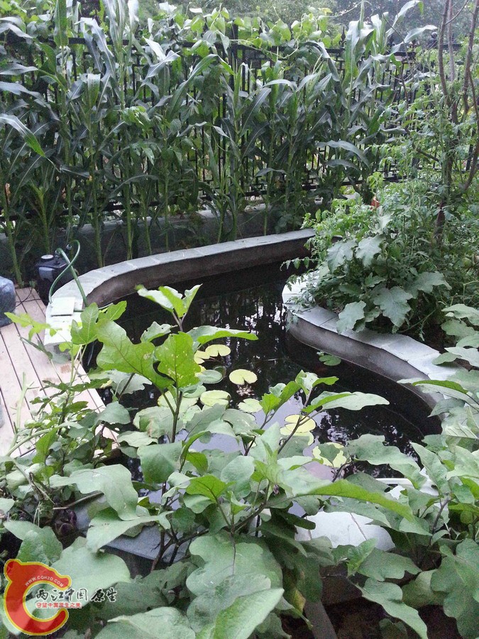 20140705_193515.jpg