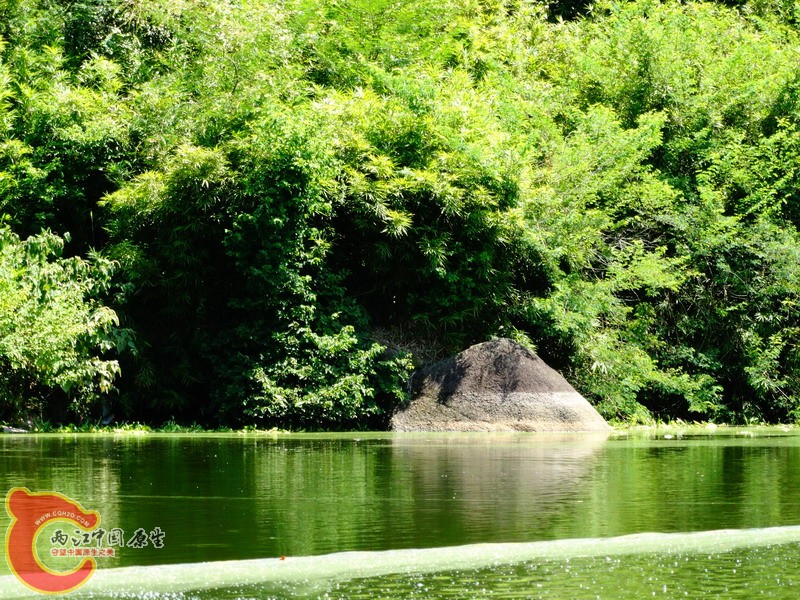 DSC00704.jpg