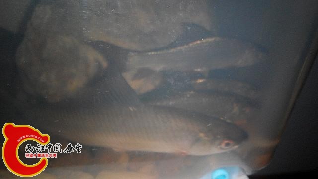 IMG_20140906_173302.jpg