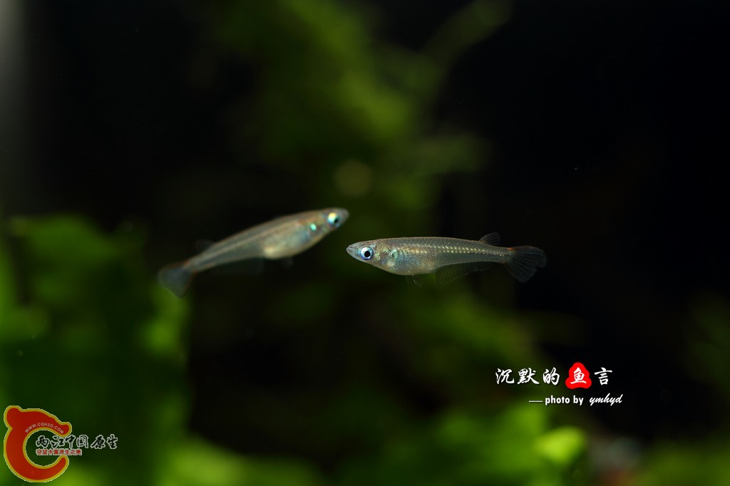 _MG_5112.jpg