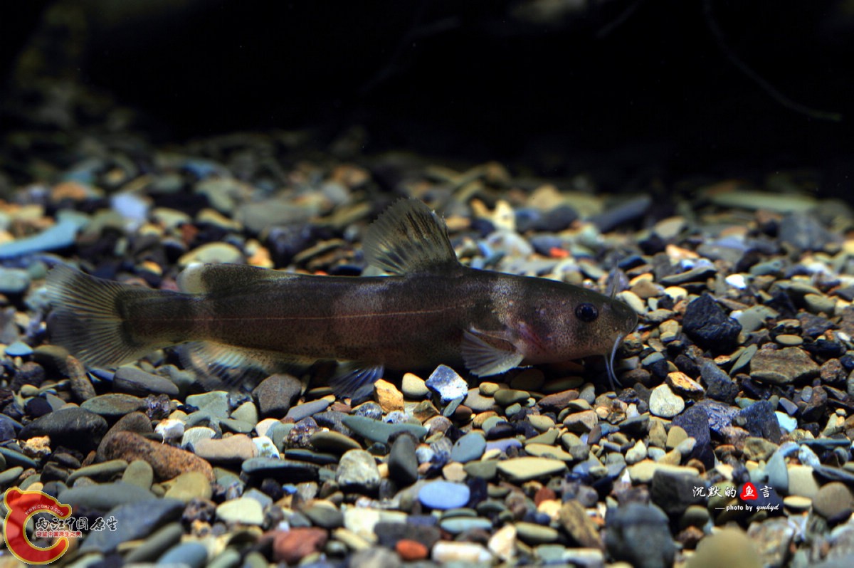 _MG_6114.jpg