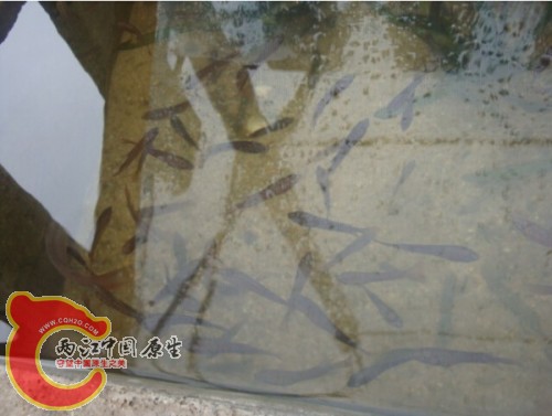 PO]PFA9X4(OL@))388HMIL4_conew2.jpg