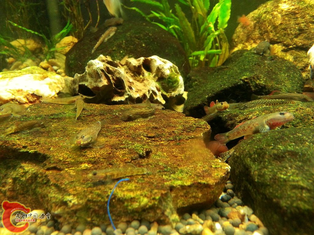 20140908_142842.jpg