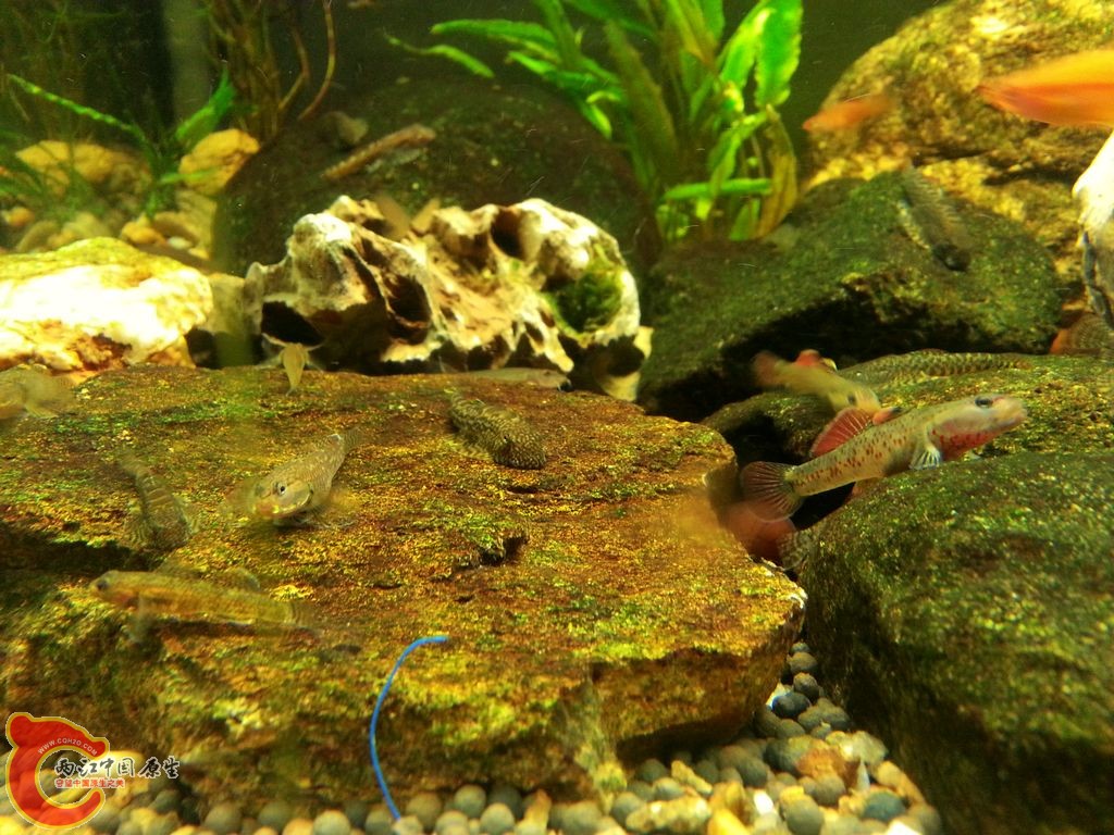 20140908_142845.jpg